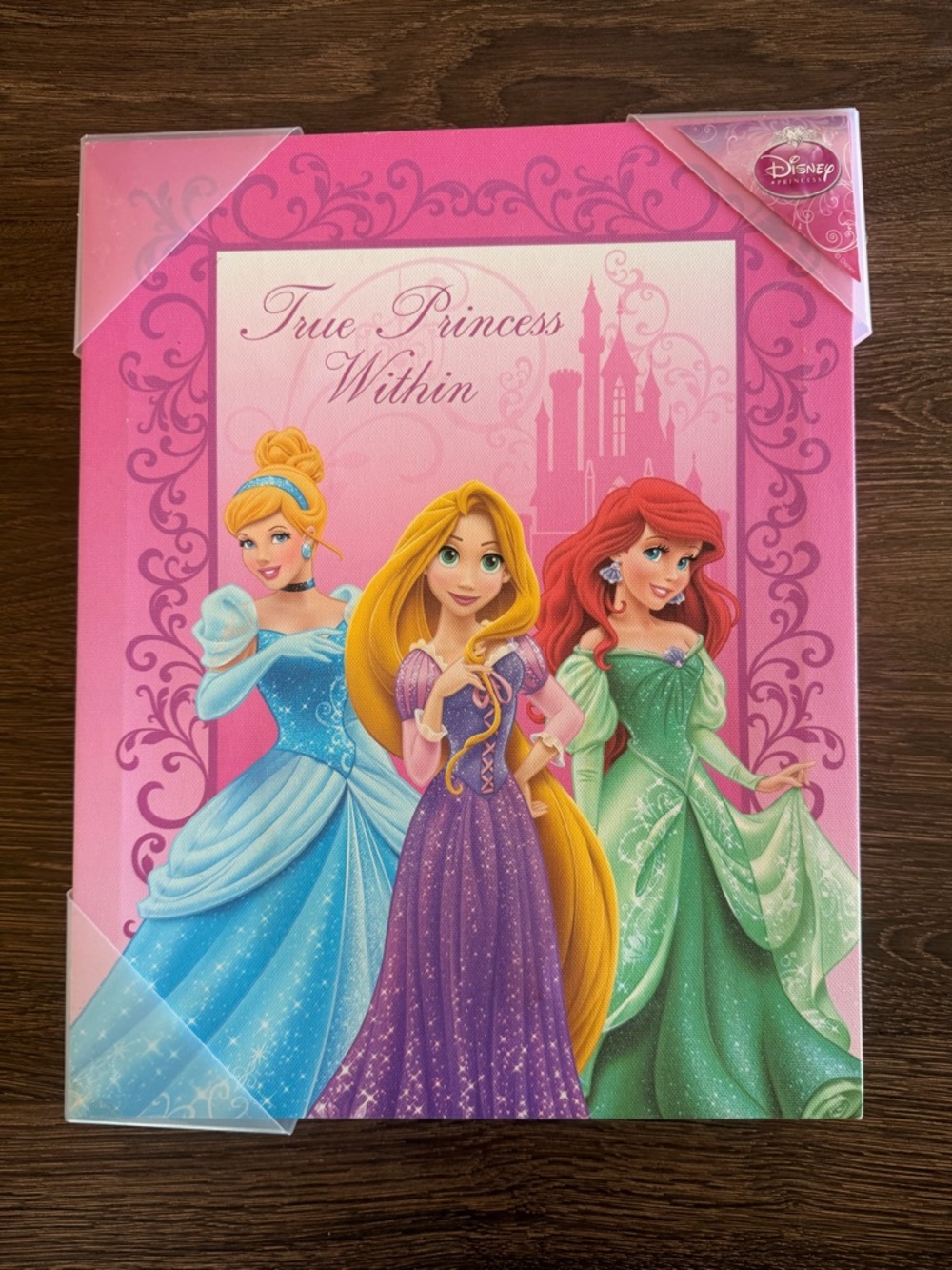 Disney Princess Canvas Wall Art - Pink, Blue, Purple, Green